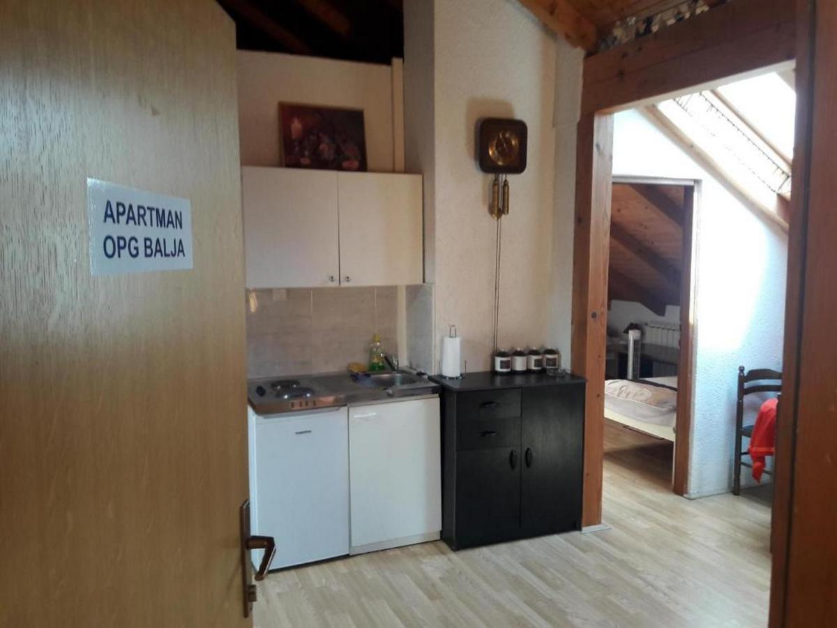 Apartman Opg Balja Garesnica 외부 사진